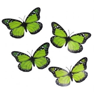 Color variant