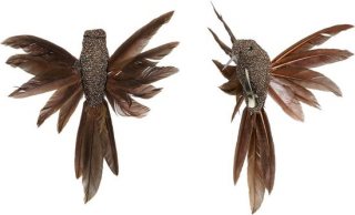 Color variant