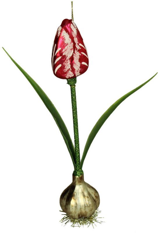HD Collection glazen kerstornament kerst hanger tulpen bol rood 20.3 cm