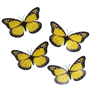 Color variant