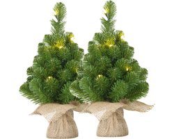 Black Box Trees Mini kunst kerstboompjes - 2x - 30 cm - met 10 LED lampjes - warm wit - kunstboom