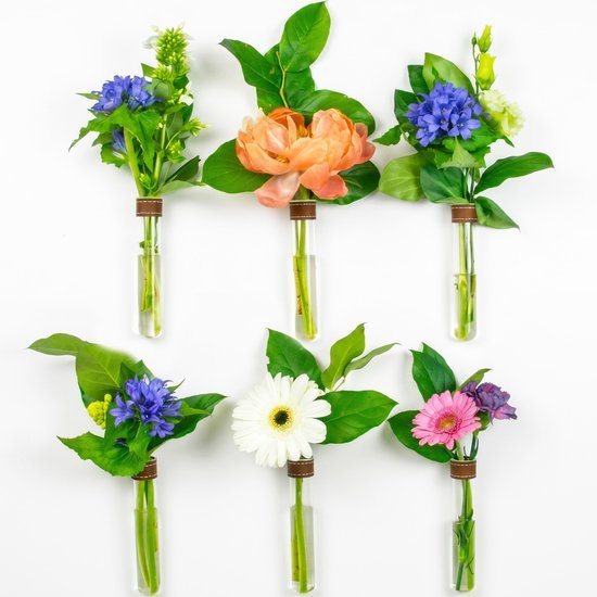 TWILG - Magnetische Muurvaasjes - 6 Stuks - Stek vaasjes - Glas - Cognac leer - Stekjes - Moederdag - Moderne vaas - Stekstation - Wandvaas - Droogbloemen - Reageerbuisjes