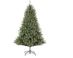 Black Box Trees Norwood Kunst Kerstboom met Verlichting - Kunstkerstboom H155 x Ø97 cm - met Timer en Dimmer - Groen