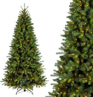 Royal Christmas - Kunstkerstboom met verlichting - Bergen Premium - 210 cm - PE/PVC - 350 warm LED lampjes – Groen