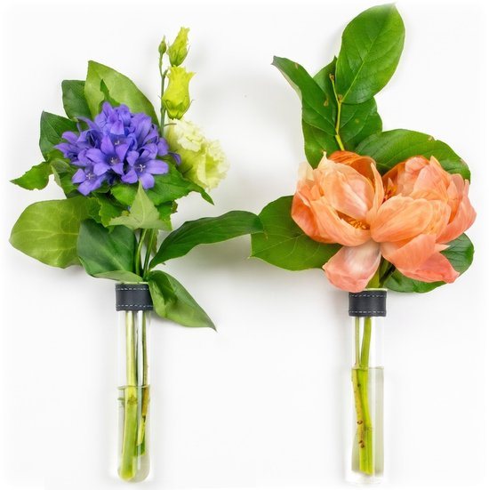 TWILG - Magnetische Muurvaasjes - 2 Stuks - Stek vaasjes - Glas - Zwart leer - Stekjes - Moederdag - Moderne vaas - Stekstation - Wandvaas - Droogbloemen - Reageerbuisjes