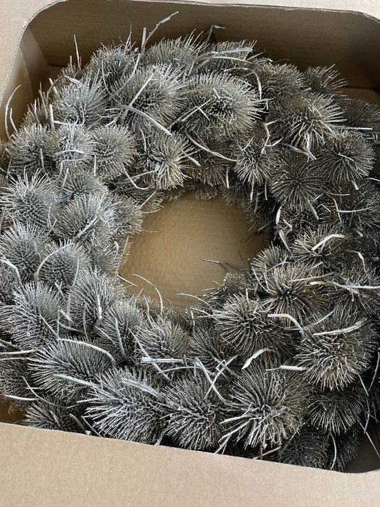 Krans 38 cm Dipsacus / Kaardebol Platinum - Kerstkrans - Kerst - Kerstmis - Christmas wreath - Woon - Woonaccessoire - Woonaccessoires - Interieur - Decoratief - Landelijk - Industrieel - Winter - Sfeer - Sfeervol - Kransen - Kerstkrans Wonen - Decor