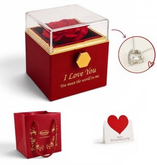 Roos in Luxe Giftbox mét Ketting - Uniek Draaimechanisme - Cadeau voor vriendin moeder haar – Kerst cadeau - Moederdag - Valentijn - Zilverkleurige Ketting - Qwality