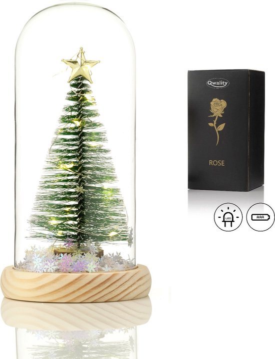 Qwality® Luxe Kerstboom in Glas met LED – Kerstboom in Glazen Stolp - Cadeau voor vriendin moeder haar - Kerst Decoratie Boom