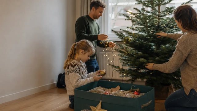 Wanneer de kerstboom opzetten in 2026?
