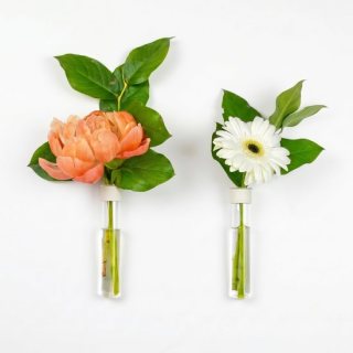 TWILG - Magnetische Muurvaasjes - 2 Stuks - Stek vaasjes - Glas - Wit leer - Stekjes - Moederdag - Moderne vaas - Stekstation - Wandvaas - Droogbloemen - Reageerbuisjes