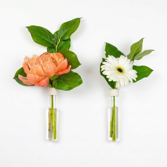 TWILG - Magnetische Muurvaasjes - 2 Stuks - Stek vaasjes - Glas - Wit leer - Stekjes - Moederdag - Moderne vaas - Stekstation - Wandvaas - Droogbloemen - Reageerbuisjes