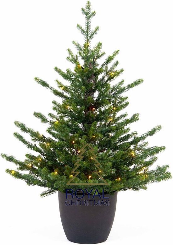 Royal Christmas - Kunstkerstbomen - Green Spruce Pot Prelit - 100 cm - PE - 70 Led Lampjes - 100 Takken