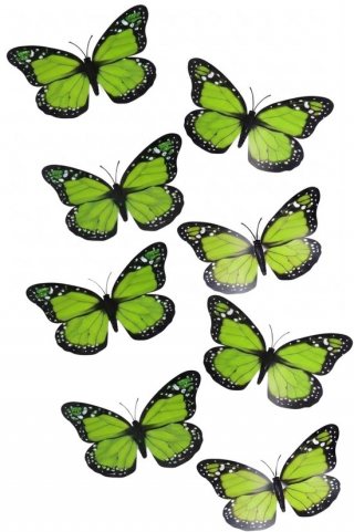 Gerimport Kerst vlinders - 12x stuks - groen - op clip - 12 x 6 cm - kunststof - kerstboomversiering